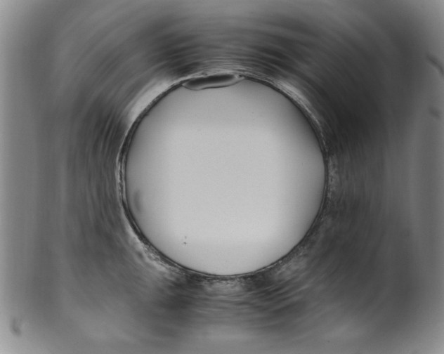 X0000100381047200806271329