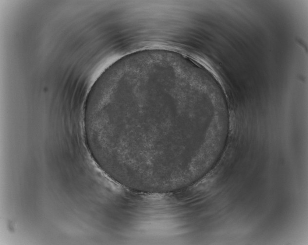 X0000100381048200806271329