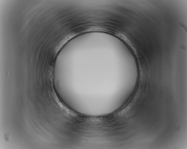 X0000100381049200806271329