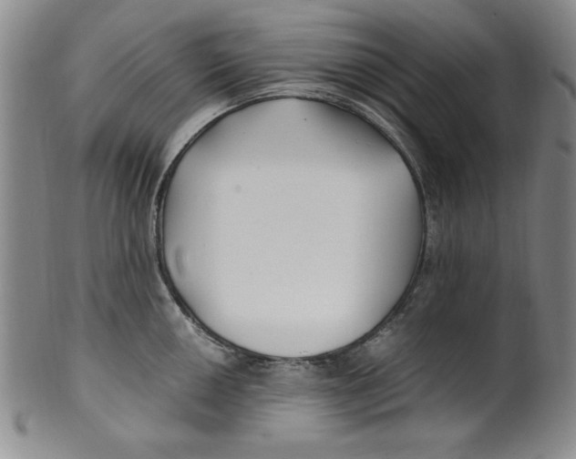 X0000100381050200806271330