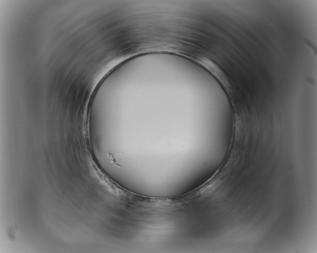 X0000100381052200806271330