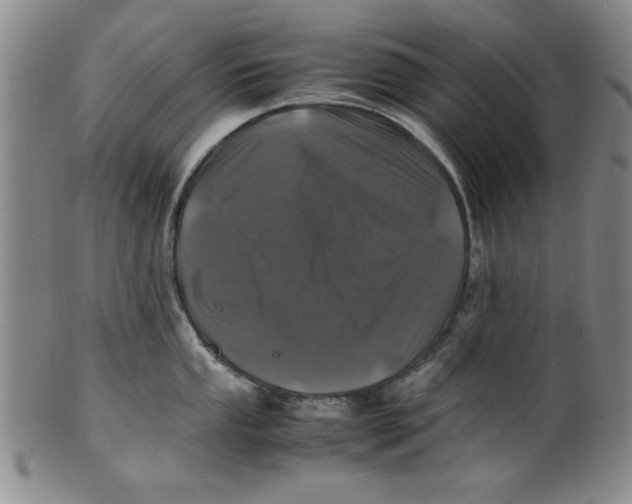 X0000100381053200806271330
