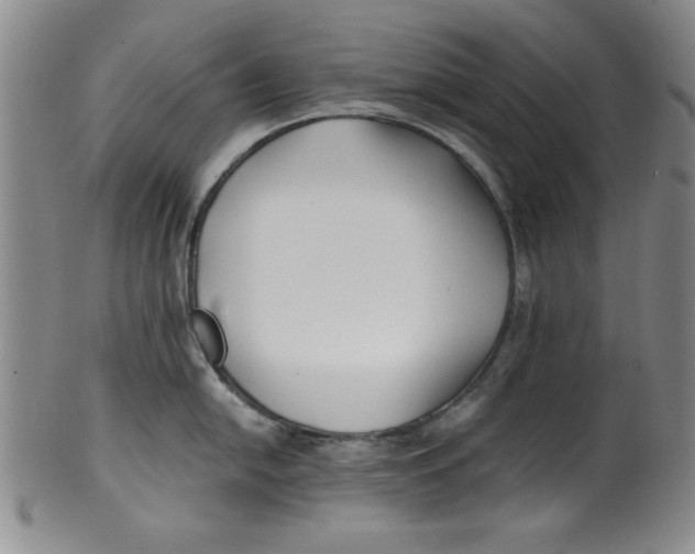 X0000100381054200806271330