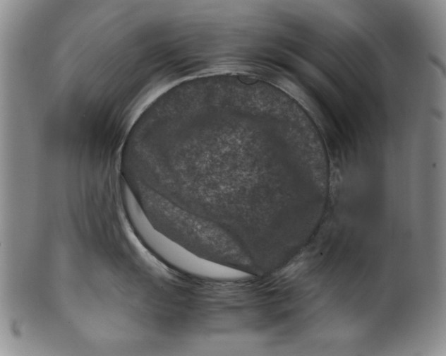 X0000100381055200806271330