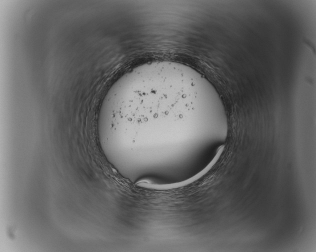 X0000100381057200806271329