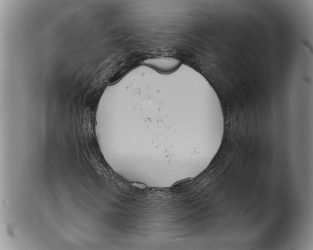 X0000100381058200806271329
