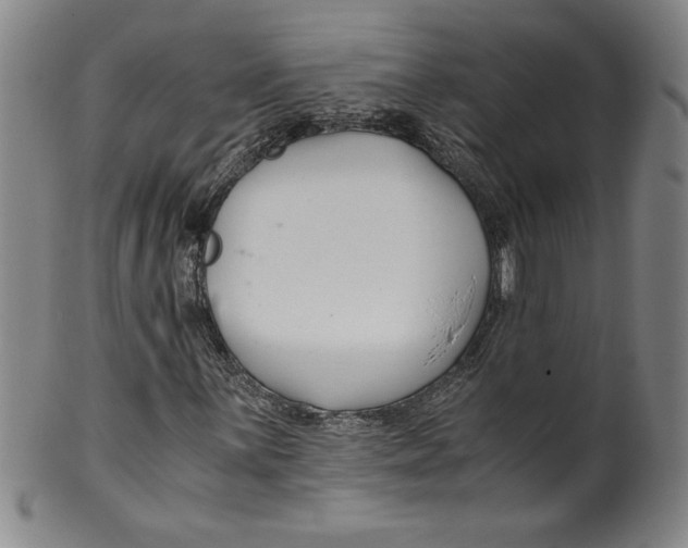 X0000100381059200806271329