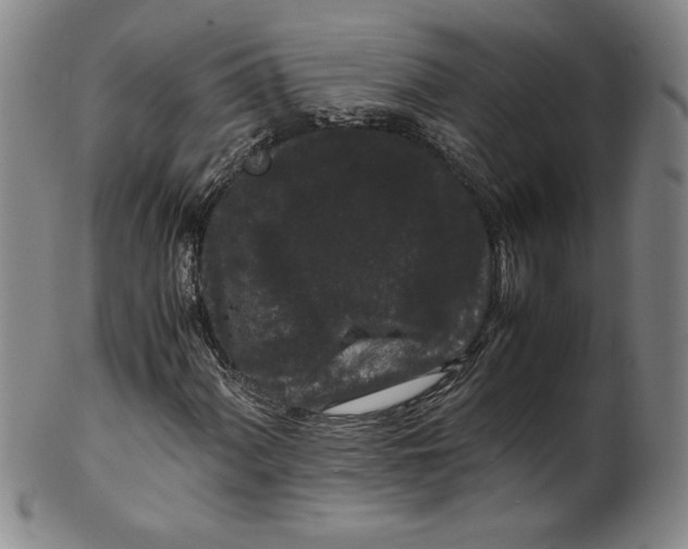 X0000100381060200806271329