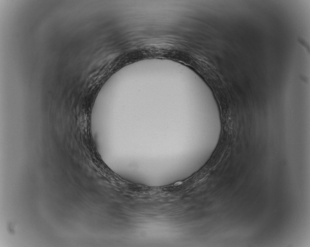 X0000100381061200806271329