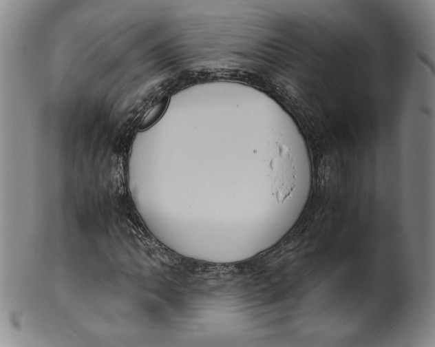 X0000100381062200806271329