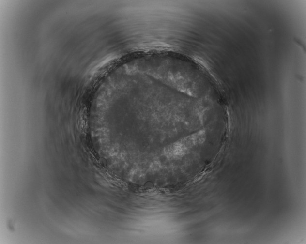 X0000100381063200806271329