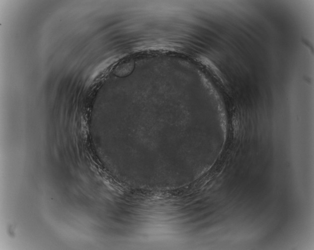 X0000100381064200806271329