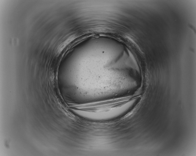 X0000100381065200806271329