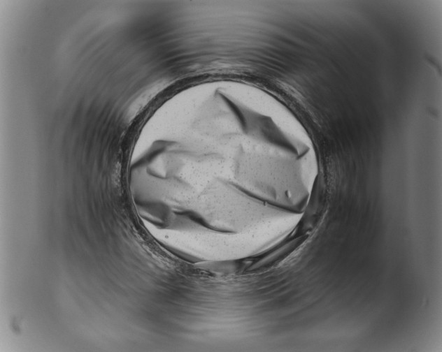 X0000100381066200806271329