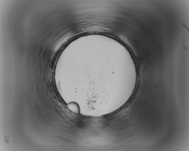X0000100381067200806271329