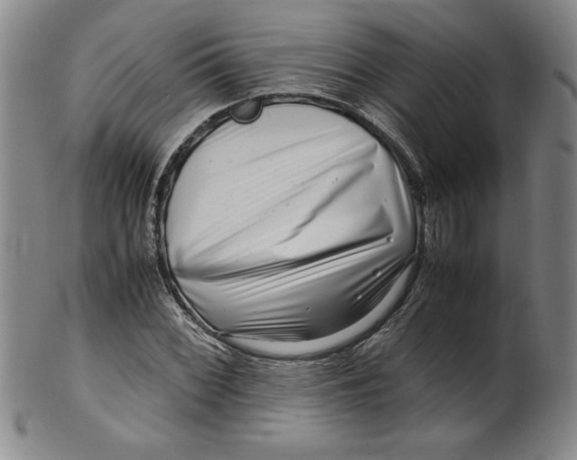 X0000100381068200806271329