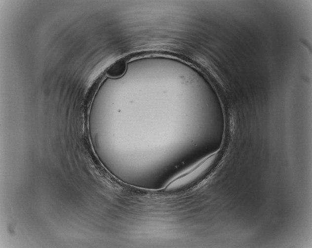 X0000100381069200806271329