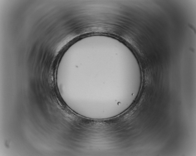 X0000100381070200806271329