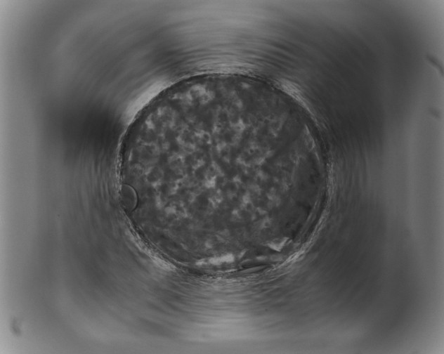 X0000100381071200806271329