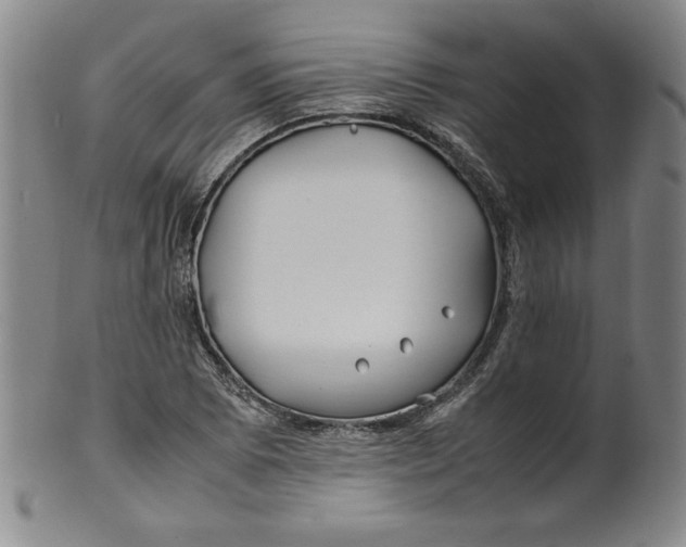 X0000100381073200806271329