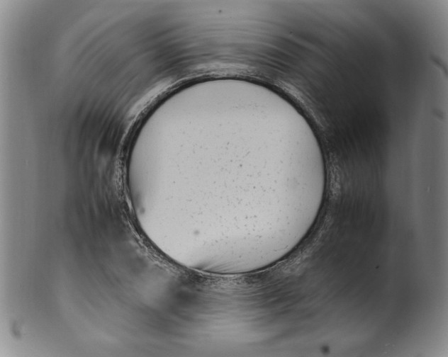 X0000100381074200806271329