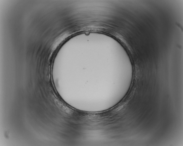 X0000100381075200806271329
