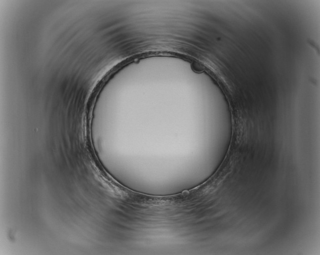 X0000100381076200806271329