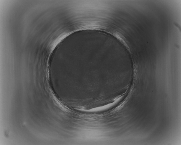 X0000100381077200806271329