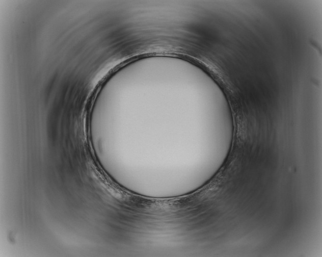 X0000100381078200806271329