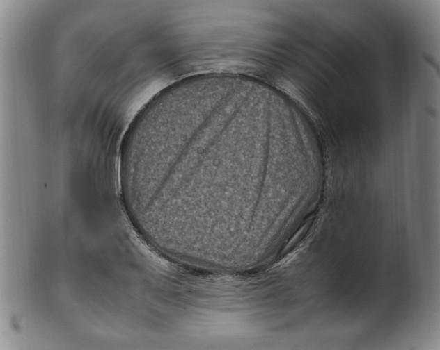 X0000100381079200806271329