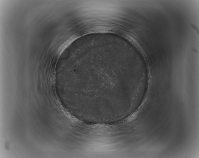 X0000100381081200806271329