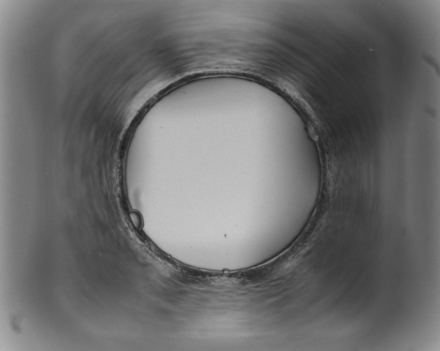 X0000100381085200806271328