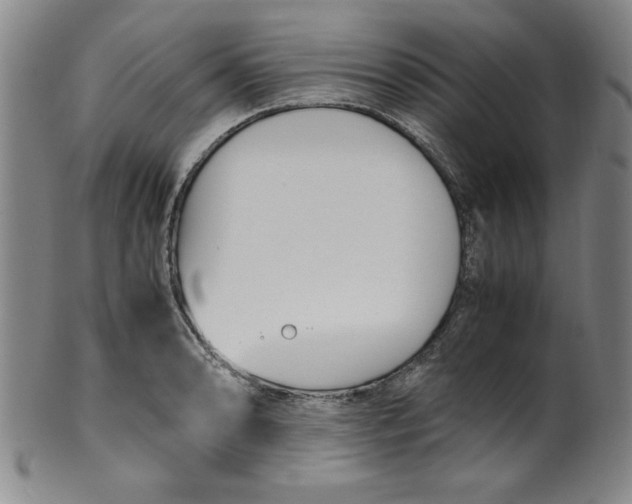 X0000100381086200806271328