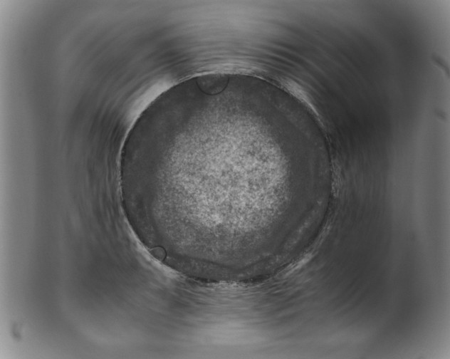 X0000100381087200806271328