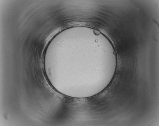 X0000100381090200806271328