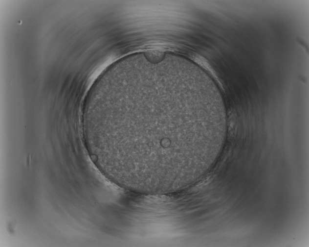 X0000100381091200806271328