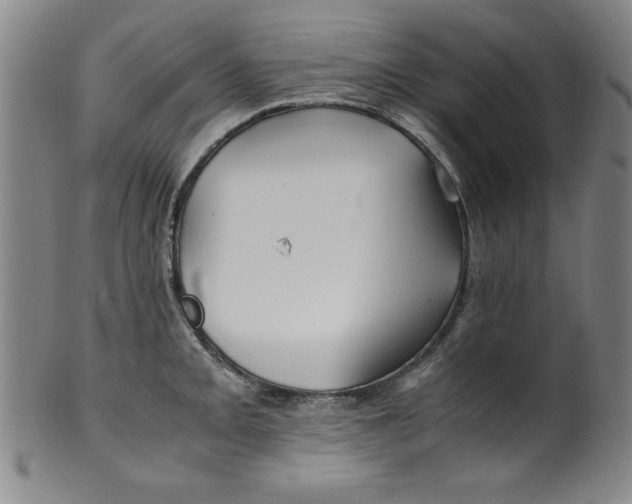 X0000100381093200806271328