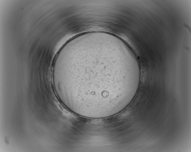 X0000100381094200806271328