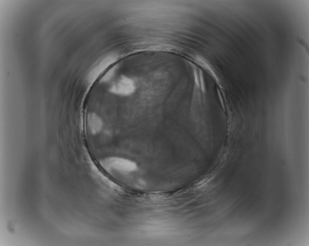 X0000100381095200806271328