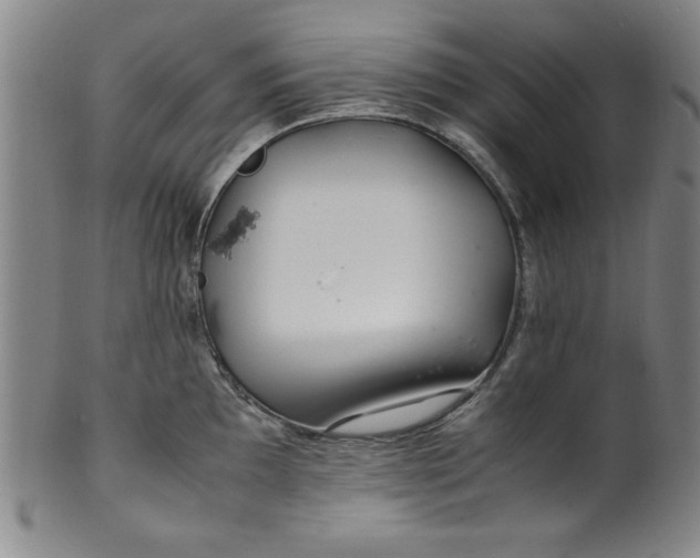X0000100381097200806271328