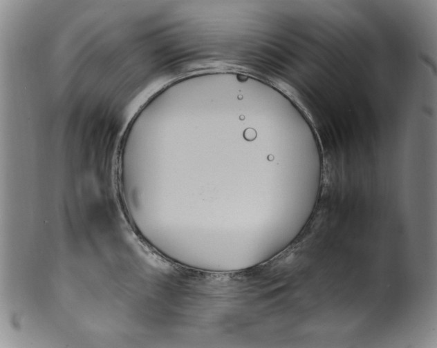 X0000100381098200806271328