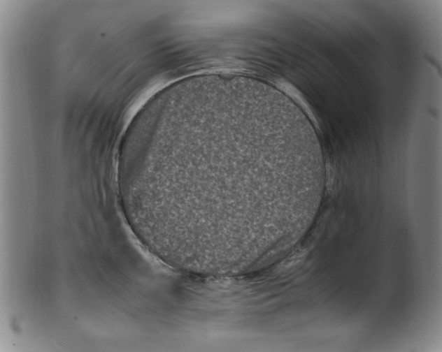 X0000100381099200806271328