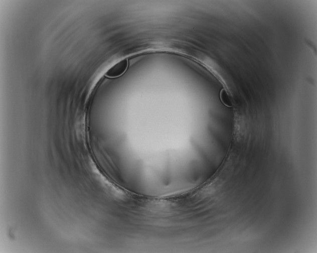 X0000100381100200806271328