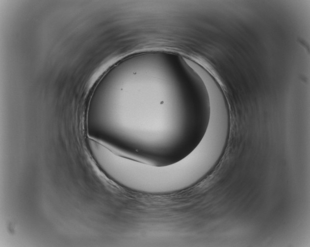 X0000100381101200806271328