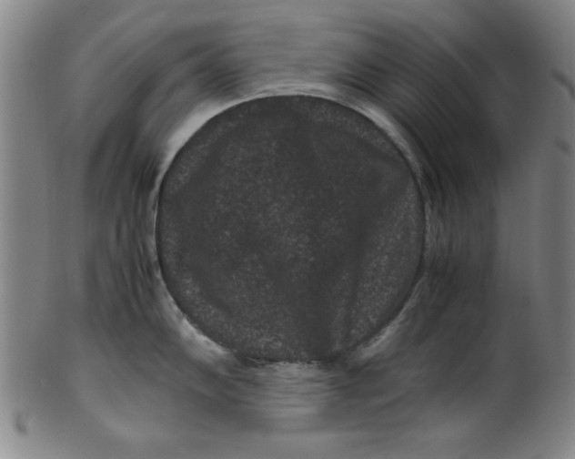 X0000100381102200806271328