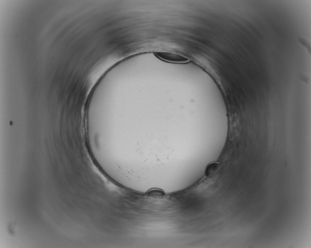 X0000100381103200806271328