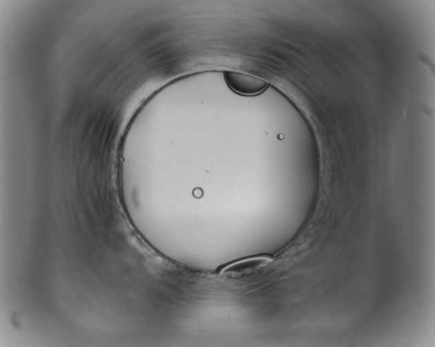 X0000100381104200806271328