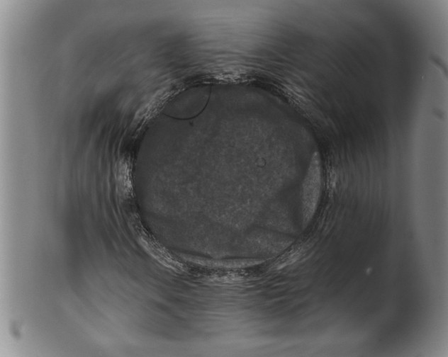 X0000100381106200806271328