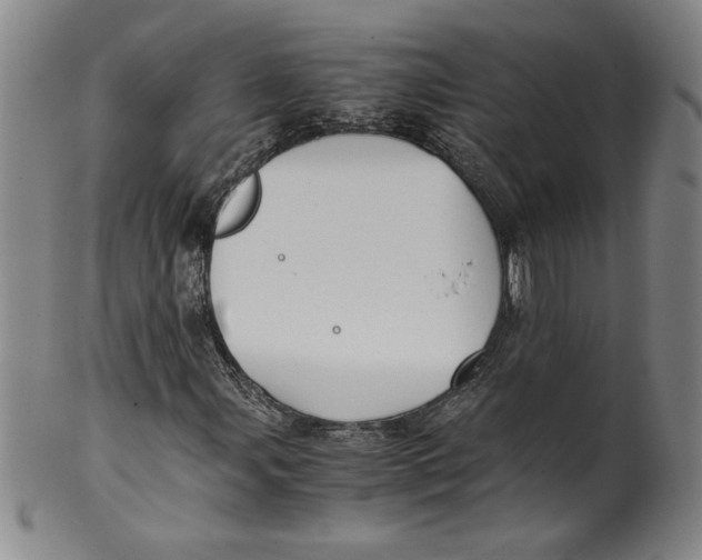 X0000100381107200806271328