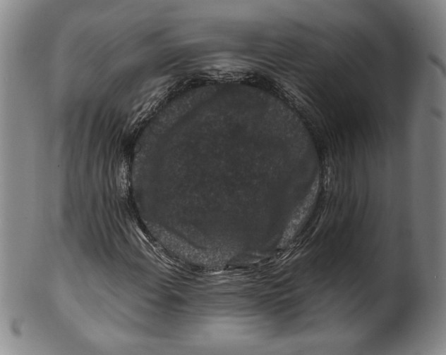 X0000100381108200806271328